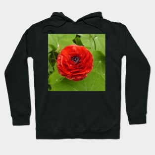 Ranunculus Hoodie